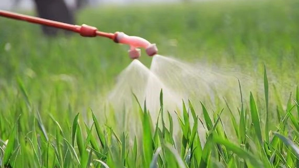 Pesticidai ir trąšos